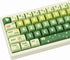 PBT Keycaps 133 Keys Gradient Green Keycaps, Dye Sublimation Cute Anime Keycaps XDA Profile for Mechanical Keyboards