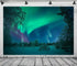 BELECO 10x6.5ft Fabric Aurora Borealis Backdrop Winter Forest Snowfield Northern Lights Night Sky