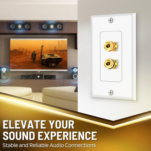 TNP Home Theater Wall Plate - Single Gang Audio Wall Plate with Gold-Plated Terminals