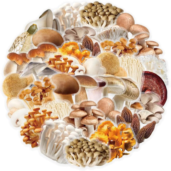 Mekycro Mushroom Vinyl Stickers 50 PCS, Botanical Aesthetic Waterproof PET Die-Cut Fungi Sticker