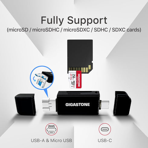 GIGASTONE 256GB SD Card with USB Type C Reader, V30 SDXC Memory Card for 4K Ultra HD Video, Mini Case Included