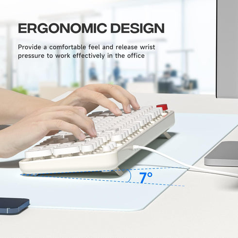 USB Wired Computer Keyboard, Full Size Office Keyboard with Number Pad, Caps Indicators, Foldable Stands for PC Laptop