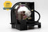 LMP-F250 Premium Compatible Projector Replacement Lamp with Housing for Sony VPL-FX50