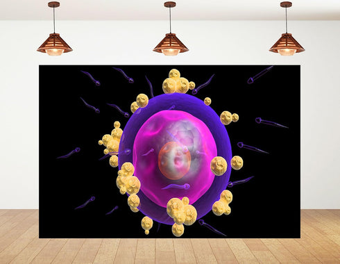 KeyWork 10x5ft Human Egg Cell Fertilization Backdrop Reproductive Science Photography Background for Health