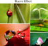 3 in 1 Cell Phone Camera Lens Kit, Wide Angle Macro Fisheye Lens Universal for Smart Phones