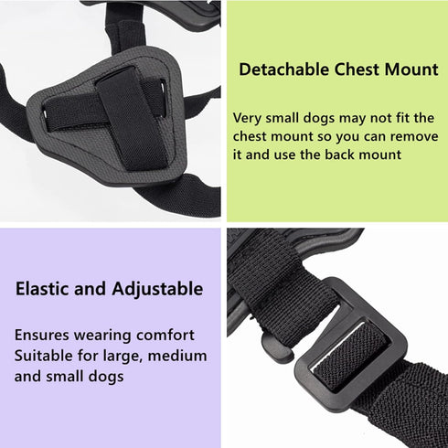 Dog Harness for GoPro, Soft Adjustable Pet Mount Vest with 2 Mounting Bases for Chest and Back Fixation, Medium Large