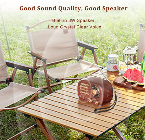 Portable Vintage Radio Bluetooth Speaker, FM/AM/SW Classic Style, Rechargeable Battery Powered & USB Charging