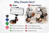 Generic 5 Guitar Head Phone Holder Mount with Picks, Universal Clip-On Smartphone Stand for Guitar & Ukulele