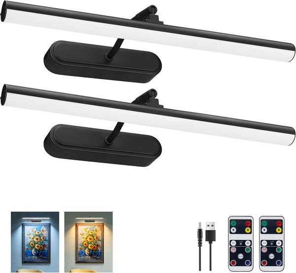RAIFOOLLY Picture Light, Art Light for Paintings, 5000mAhBattery Operated Wall Light, Remote Accent