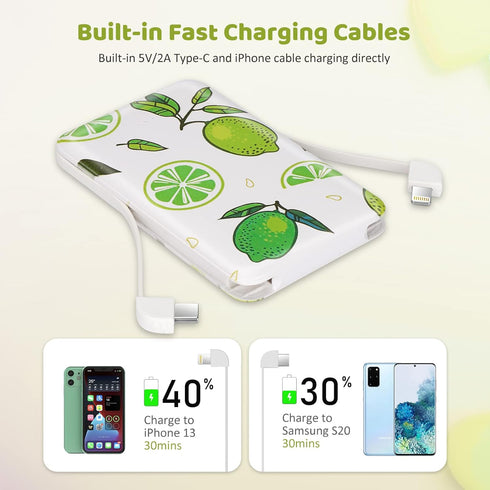 Smallest Portable Charger with Built-in Cables, 6000mAh Ultra Slim Power Bank, Lightweight USB C Phone Charger