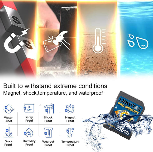 256GB SDXC UHS-I Memory Card - Up to 200MB/s, C10, U3, V30 for 4K UHD Video Cameras