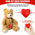 Voice Recorder, 16min USB Downloadable Sound Chips Module for Stuffed Animals, Personal Voice Message Gift (Red)