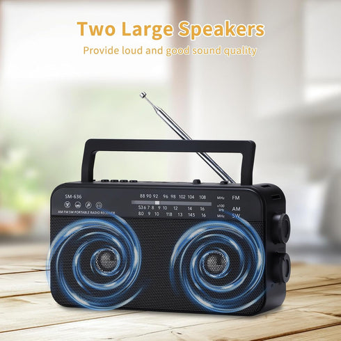 Portable AM FM Shortwave Radio with Bluetooth Speaker, 3X D Cell Batteries or AC Power, Loud Speaker