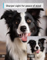 blurams Pet Camera 2K, 360 Indoor Security Camera, Dog Camera with Phone App, PTZ Cameras for Home Security Indoor, 2-Way Audio, Motion Tracking, Color/IR Night Vision, Siren, Cloud&SD(2.4GHz Only)