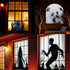 Generic 60" 106" (120Inch) x Halloween Holographic Rear Projection Screen, Anti Crease Indoor Projection Double Sided
