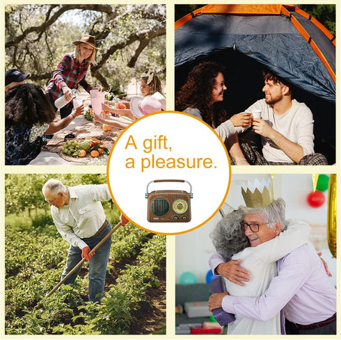Gelielim Portable AM FM Shortwave Radio, Vintage Bluetooth Speaker with Rechargeable Battery, Small Gifts