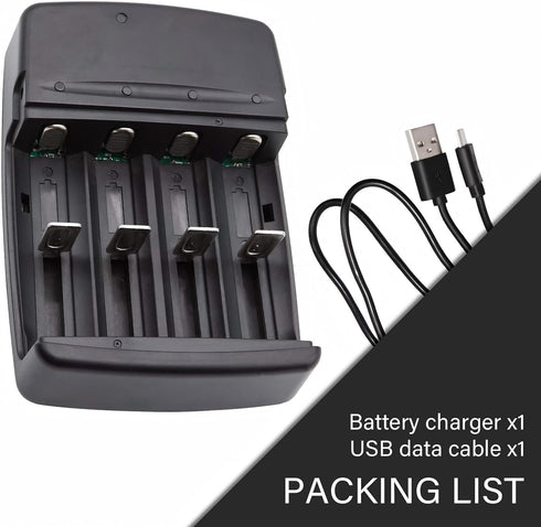 USB Universal Smart Battery Charger for 3.2V LiFePO4 Batteries