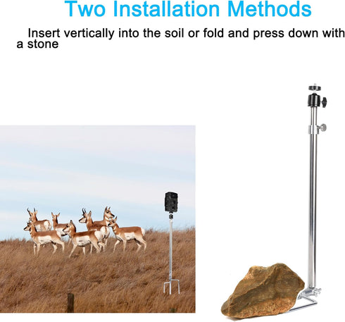 PellKing Universal Hunting & Trail Cameras Holder Stake, 1/4''-20 Ground Mount for Hunting Camera