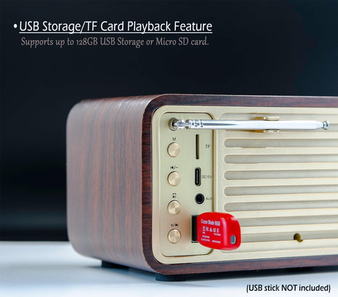 FM Radio with Bluetooth, Vintage Bluetooth Speaker with SD/USB Music Player, Wireless Streaming, Up to 10 Hours Playback