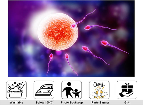 KeyWork 10x5ft Human Fertilization Illustration Backdrop Reproductive Science Photography Background for Health Fair