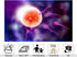 KeyWork 10x5ft Human Fertilization Illustration Backdrop Reproductive Science Photography Background for Health Fair