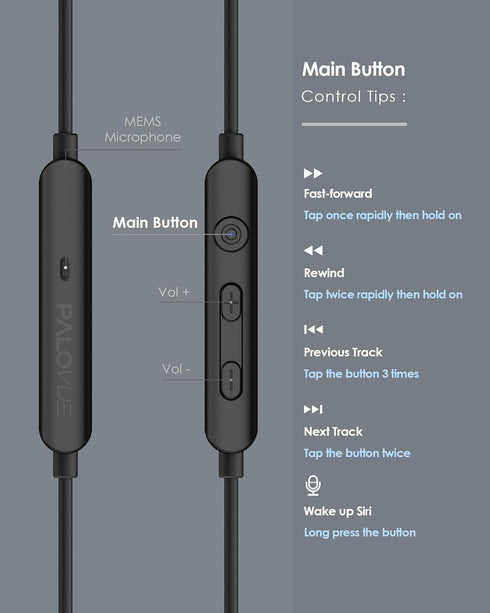 PALOVUE MFi Certified Lightning Earbuds with Microphone, Compatible with iPhone 14, 13, 12, 11 Pro Max, iPad - Metallic