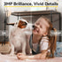 2K Pet Camera Indoor Security, 5G/2.4GHz WiFi, 360 Pan & Tilt, Night Vision, SD Card & Cloud Storage