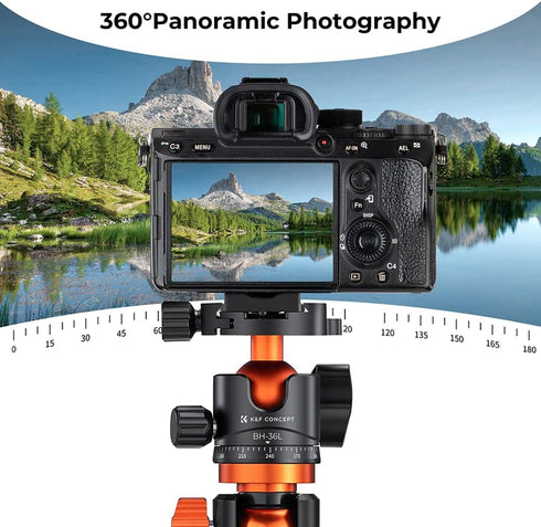 K&F Concept 36mm Metal Tripod Ball Head, 360° Rotating Panoramic with Quick Release Plate