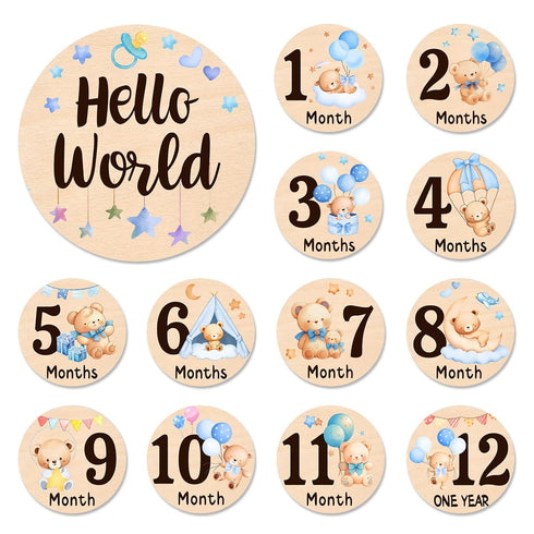 Baby Monthly Milestone Cards - 13 Double-Sided Wooden Milestone Signs Discs with