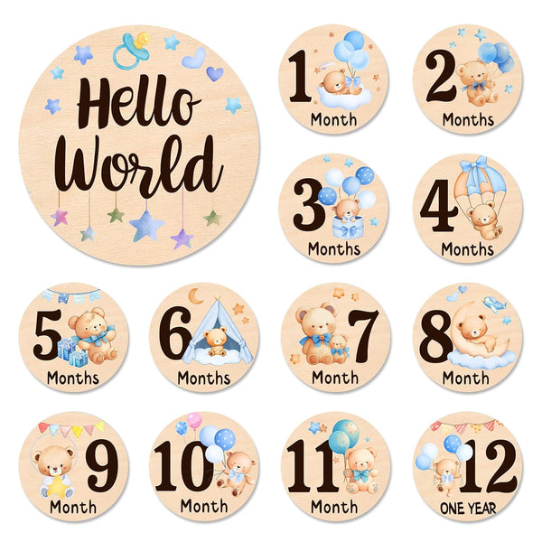 Baby Monthly Milestone Cards - 13 Double-Sided Wooden Milestone Signs Discs with