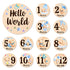 Baby Monthly Milestone Cards - 13 Double-Sided Wooden Milestone Signs Discs with