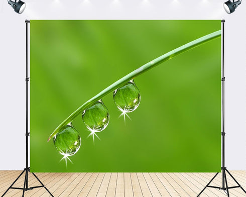 TryKid 10x6.5ft Green Dewdrop Grass Backdrop Sparkling Water Drop Blade Photography Background Fresh Spring Nature