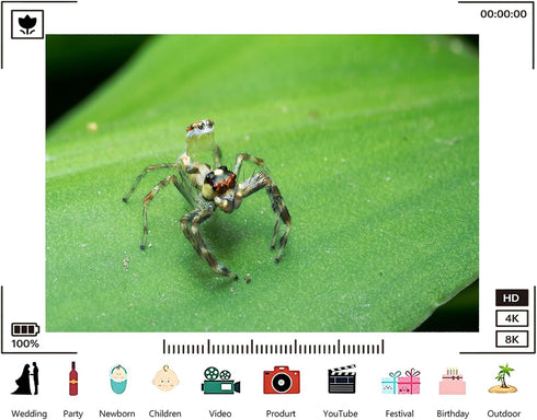 TryKid 8x8ft Jumping Spider Leaf Backdrop Macro Insect Green Plant Photography Background Science Education Nature