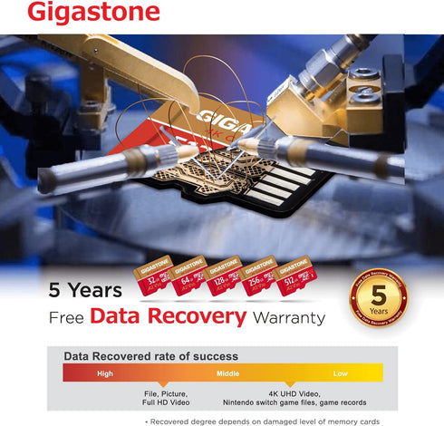 Gigastone 256GB Micro SD Card, 4K Camera Pro, A2 V30 for Smartphone, Gopro, Action Cams, Up to 100MB/s, with Adapter