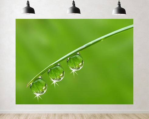 TryKid 10x6.5ft Green Dewdrop Grass Backdrop Sparkling Water Drop Blade Photography Background Fresh
