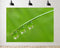 TryKid 10x10ft Green Dewdrop Grass Backdrop Sparkling Water Drop Blade Photography Background Fresh