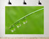 TryKid 9x6ft Green Dewdrop Grass Backdrop Sparkling Water Drop Blade Photography Background Fresh