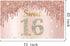 Sweet 16th Birthday Banner Backdrop Decorations for Girls, Rose Gold 16 Birthday Party Sign Supplies, Pink Poster Decor