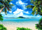 Art Studio Beach Photography Backdrops, Ocean Photo Booth Wedding Party Decoration Background Studio Props Vinyl 7x5ft