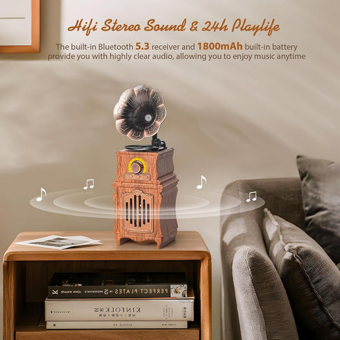 Retro Bluetooth Speaker, Retro Radio, Bass, FM Radio, 5.3 Bluetooth Radio Wireless Connect for Home Office Room Vintage Decor, USB/TF/AUX Player, Portable Rechargeable Vintage Radio Bluetooth Speaker
