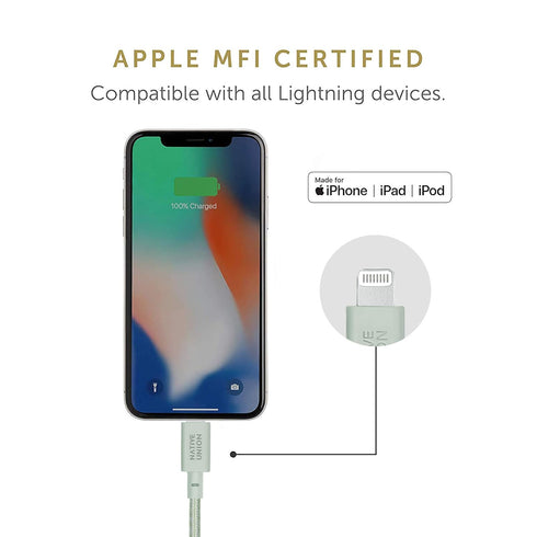 Native Union Belt Cable USB-C to Lightning, 10ft Ultra-Strong Reinforced Cable for iPhone 14 and Earlier (Sage)