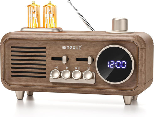 Bingxue Retro Radios FM Portable Bluetooth Speaker,12/24H Small Plug in Vintage Clock Radio