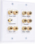 Cable Matters Double Gang 5.1 Speaker Wall Plate in White - Home Theater Wall Plate, Banana Plug