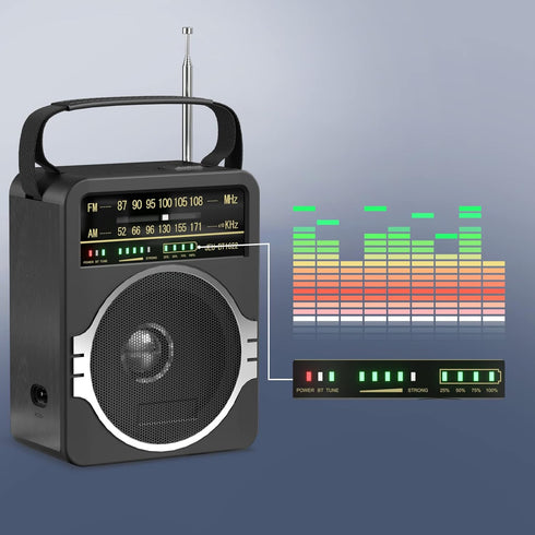 Portable AM FM Radio, Bluetooth 5.0 Radio with Loud Speaker, Built-in Rechargeable Battery, AC Power Plug, Black