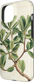 Antique Plant Botanical Art Garden DonaOnca 15 Succulent Jade Plant Vintage Scientific Illustration Plant Case