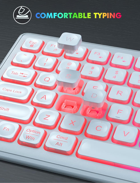 Wireless Keyboard and Mouse - RGB Backlit, Rechargeable & Light Up Letters, Full-Size, Ergonomic Tilt Angle, White