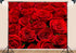 SHDASMIL 8X6ft Bright Red Roses Close Up Backdrop Fresh Floral Bouquet Background for Valentines Day Wedding Party