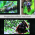 Yandood 59x105 inch 130 inch 16:9 4K Projector Screen DIY Elastic Polyester Material for Max Projection Screen