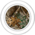 Realtree Edge PopGrip for MagSafe