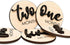 Baby Monthly Milestone, Wooden Baby Milestone Signs, Monthly Milestone Wood Discs, Baby